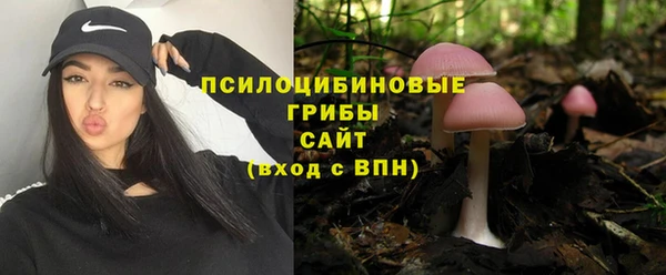 прущие крисы Козловка