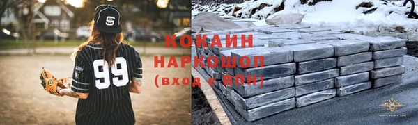 мдпв Козельск
