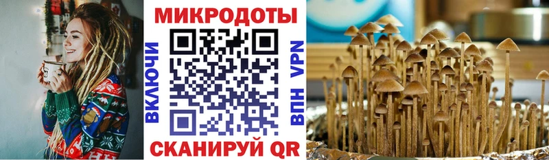 Галлюциногенные грибы прущие грибы  Купить  Севск 